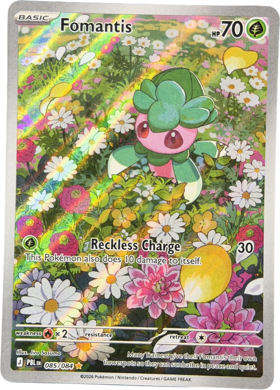 Fomantis 085/084 – Illustration Rare – Pitch Black – NM